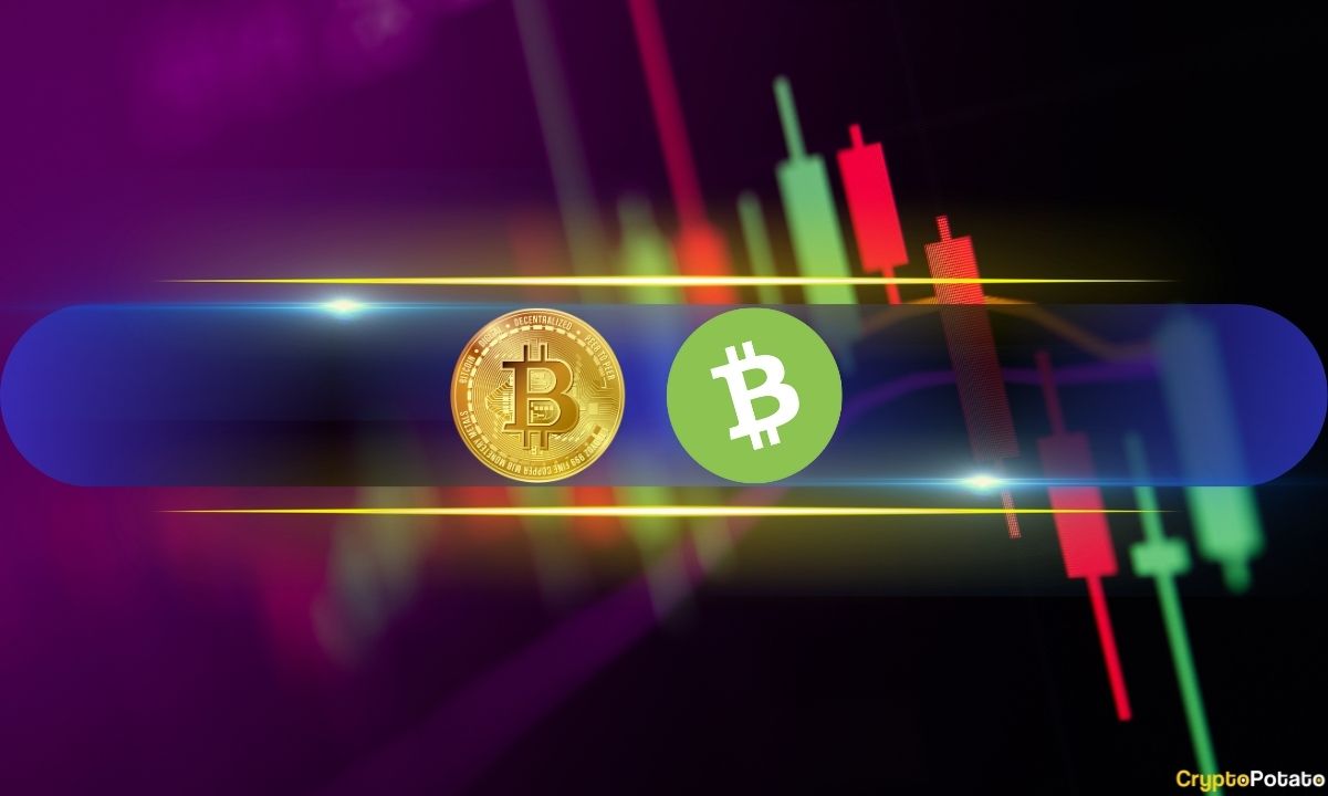 ‏بیت‌کوین ۸۴ هزار دلاری آرام گرفت: افزایش دو رقمی BCH و WLFI در آخر هفته