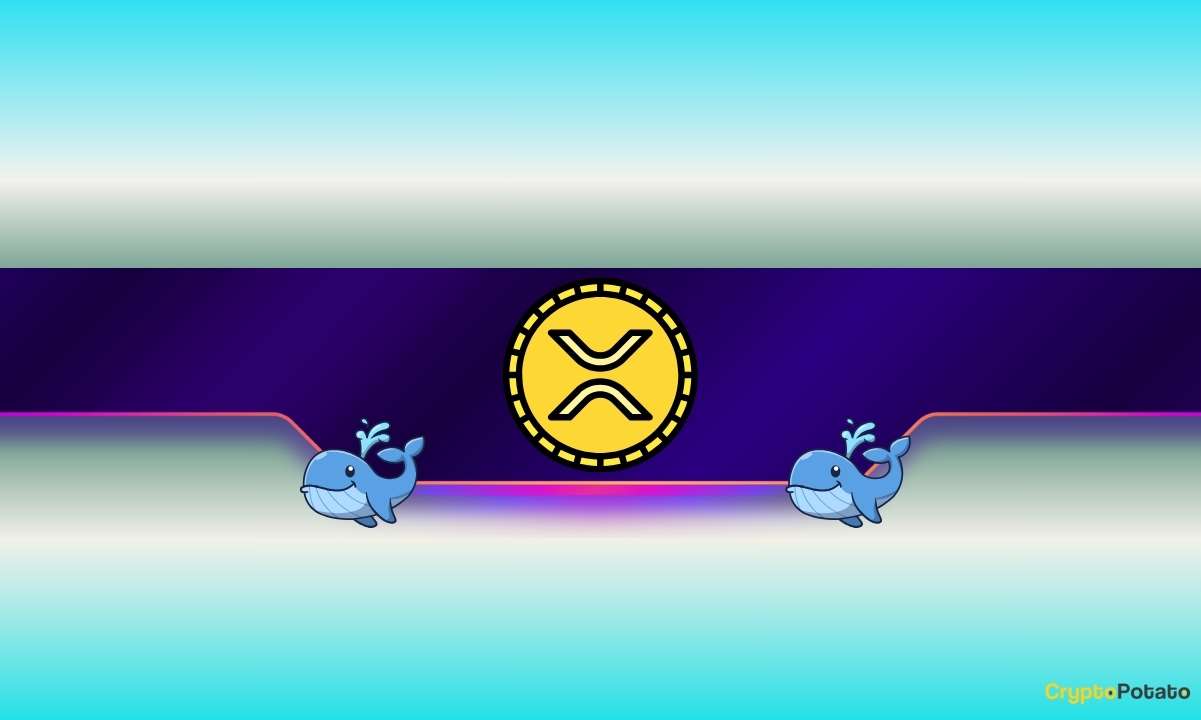 ‏۱۵۰ میلیون XRP در ۴۸ ساعت فروخته شد: وحشت یا فرصت؟