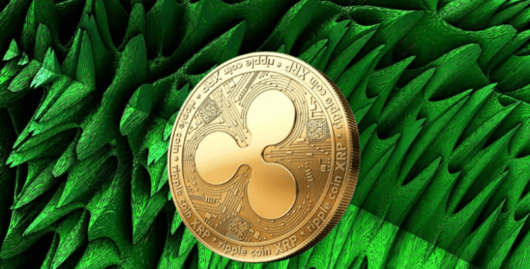 ‏یک اتفاق بزرگ در امور مالی غیرمتمرکز XRP در حال وقوع است—و ۹۱ میلیون توکن این داستان را روایت می‌کنند.