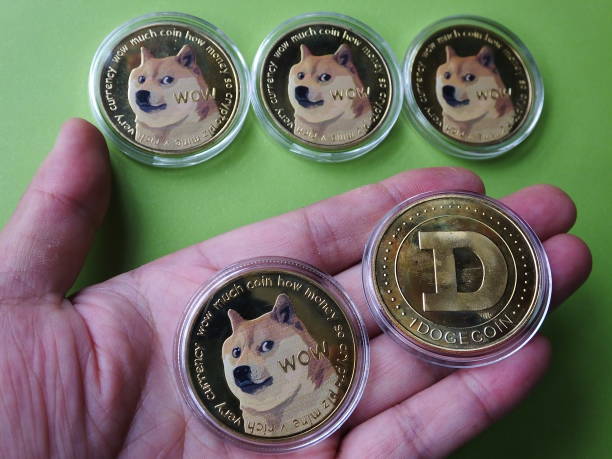 Dogecoin’s Decline Fuels Correction Fears