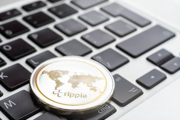 Early Ripple Partner Joins X Money Initiative