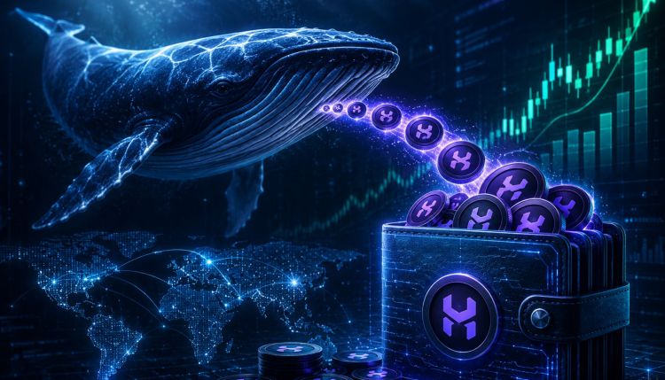 Whale Wallet Adds $90M Amidst Hype