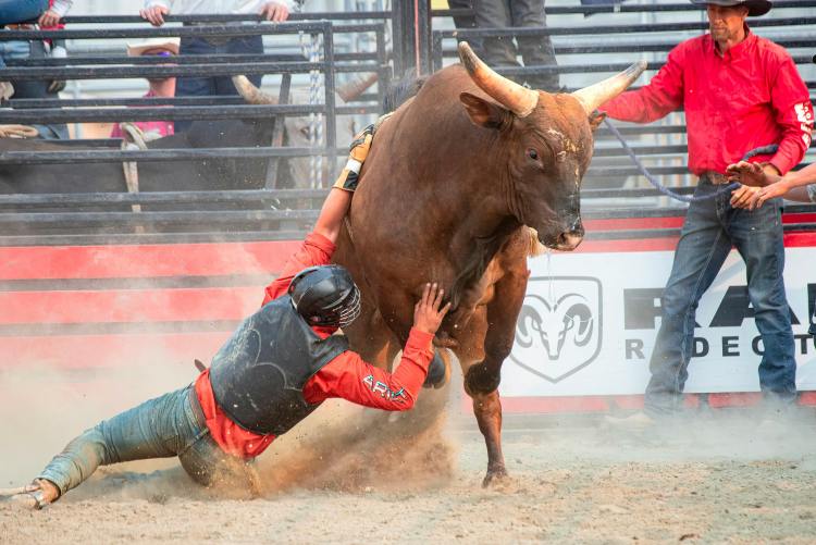 Gemini Founder: Bitcoin Bull Case Driven by $39 Trillion Opportunity
