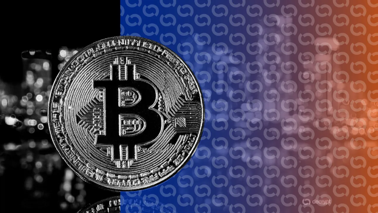 Bitcoin Activity Surges Amidst Price Plunge