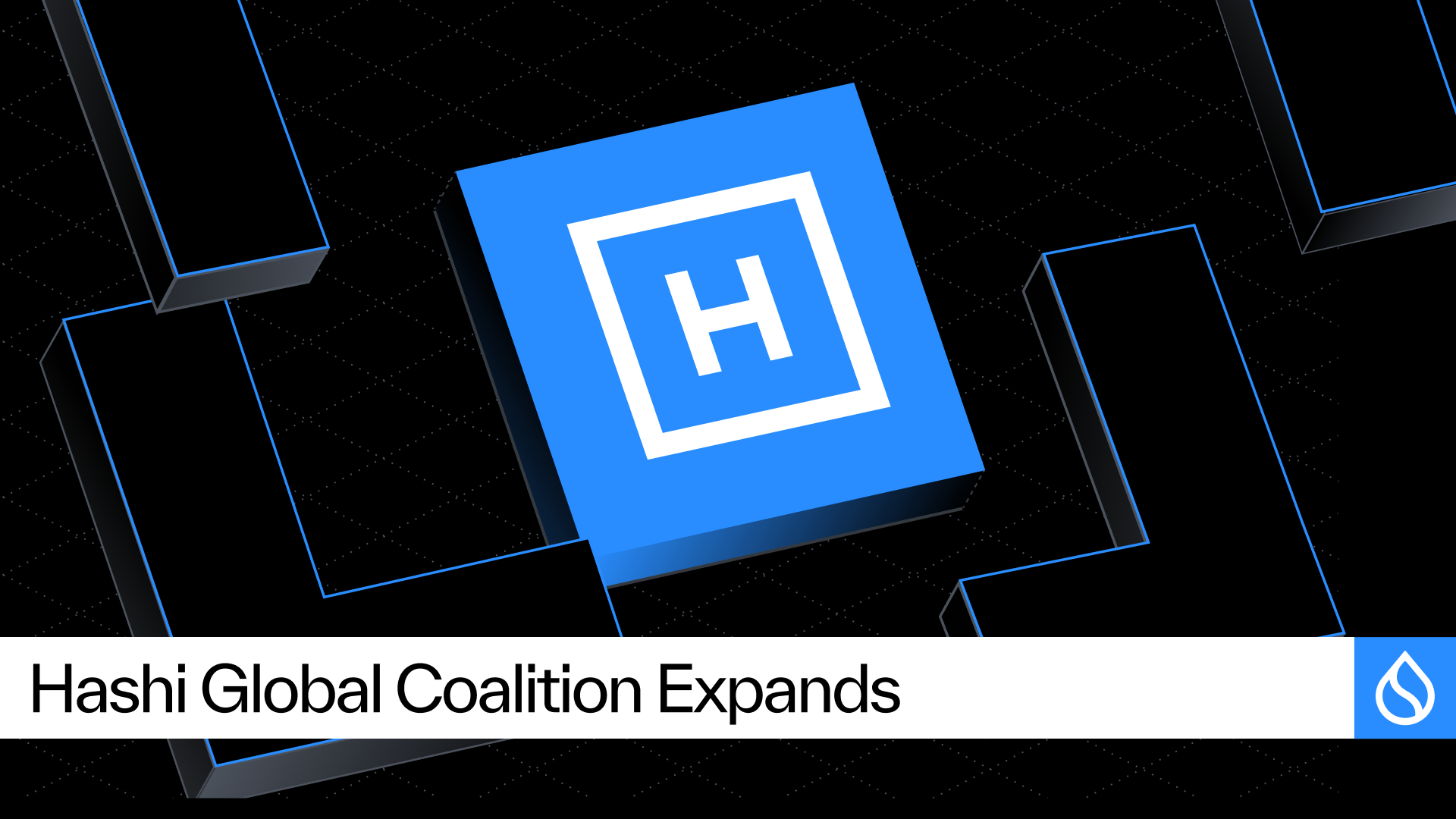 Institutional Coalition on Hashi Welcomes Cumberland, Fluid, SwissBorg Ahead of July Testnet