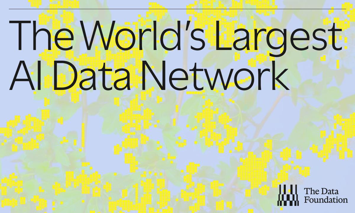 DATA Foundation Tackles AI Training Data Bottleneck