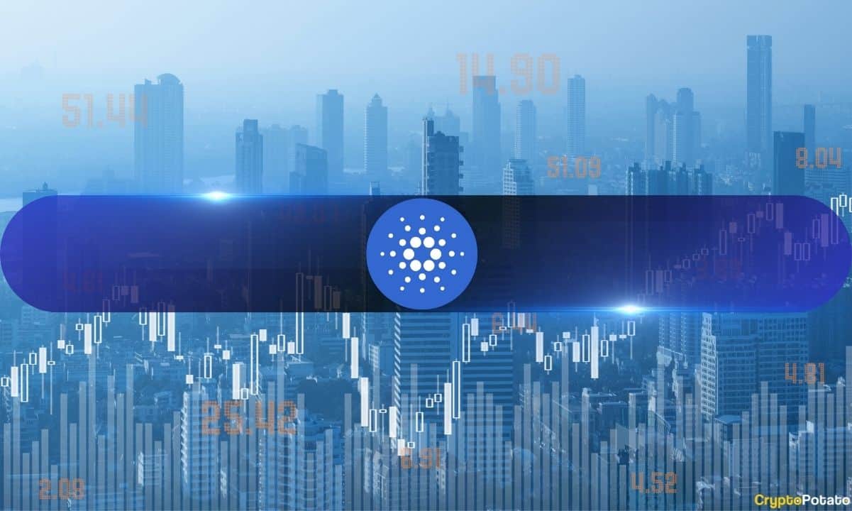Cardano Under Pressure, On-Chain Data Paints Different Picture