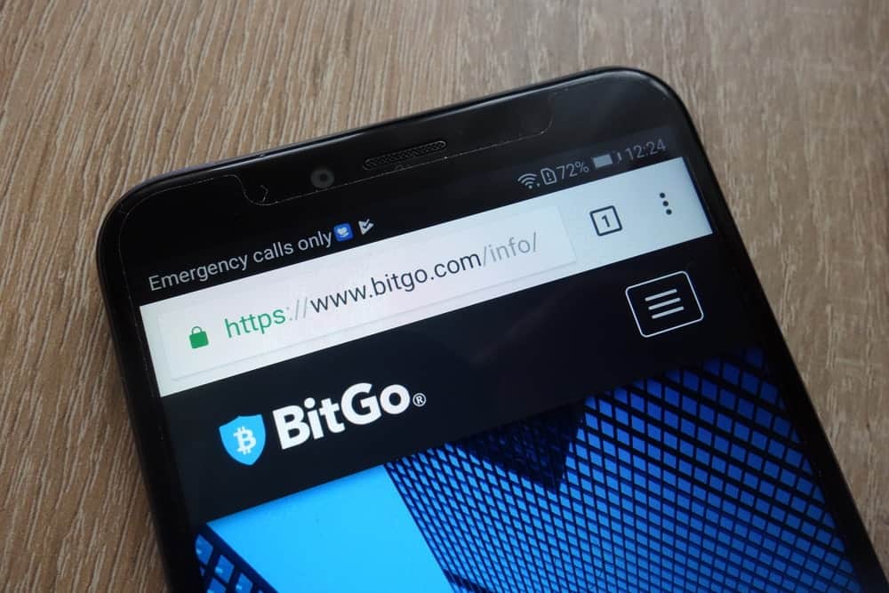 BitGo Cuts Staff Amid AI, Stablecoin, and Settlement Focus