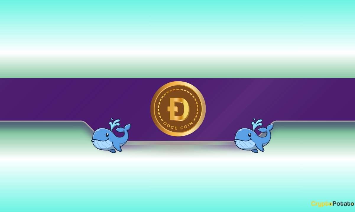 DOGE Whales Buy Dip Amid 14-Month Low
