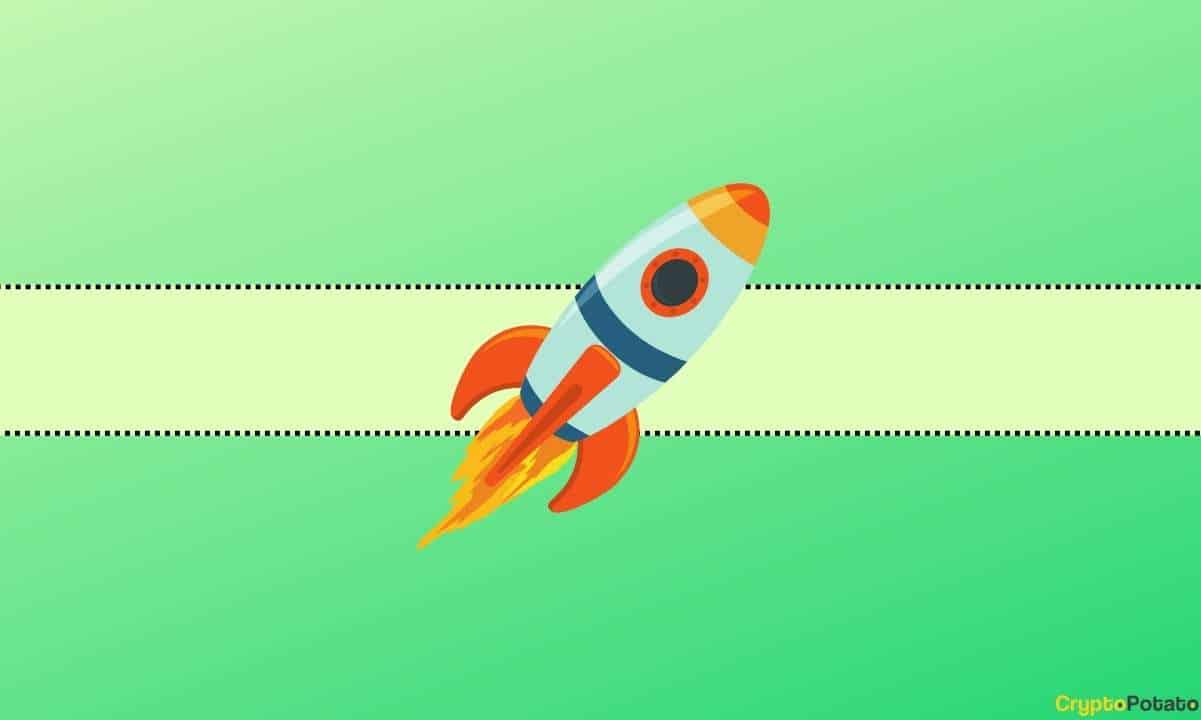 CASHCAT Meme Coin Sees Over 3,200% Surge, Presenting Both Profits and Potential Missed Gains