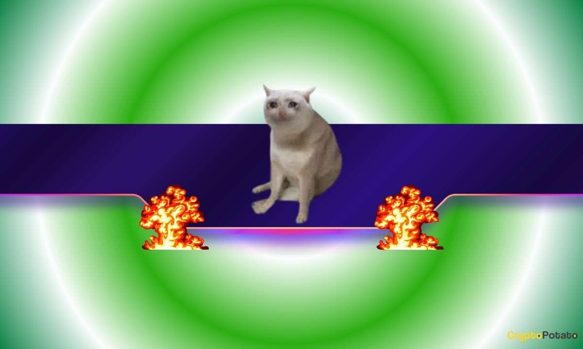 Cat Meme Coin Surges 2,000% in a Week: The Driving Force