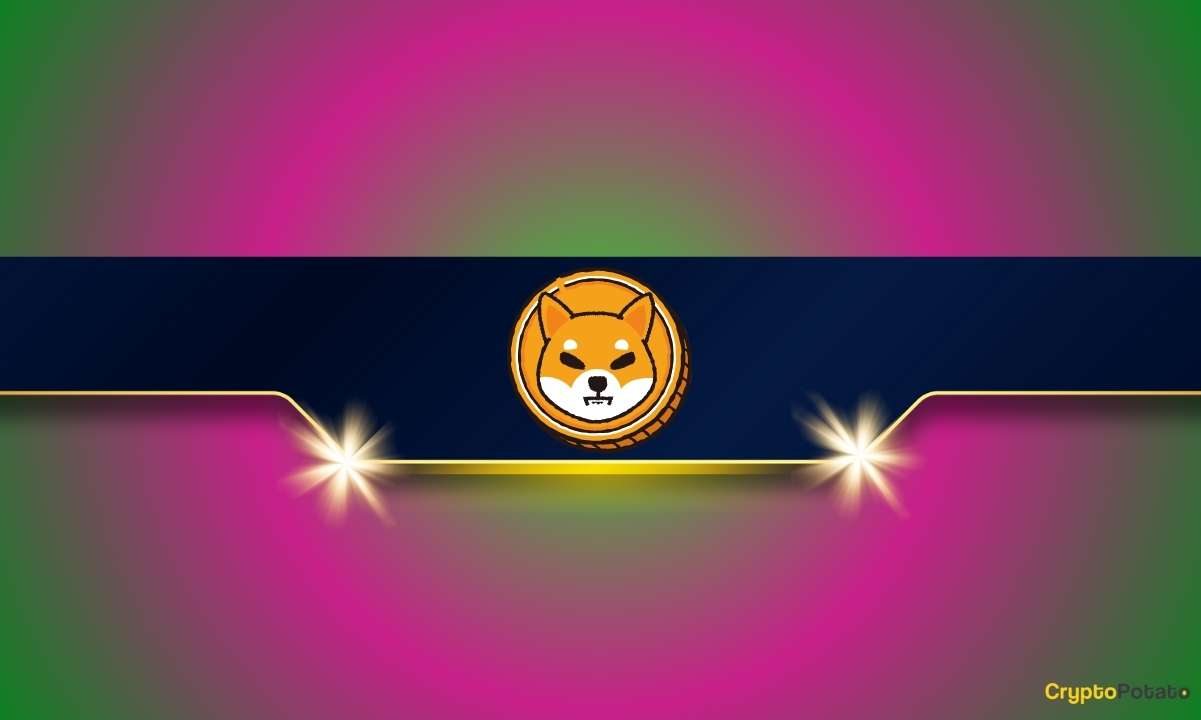 Shiba Inu Supply Concentration Creates Market Uncertainty Amidst Mixed Signals