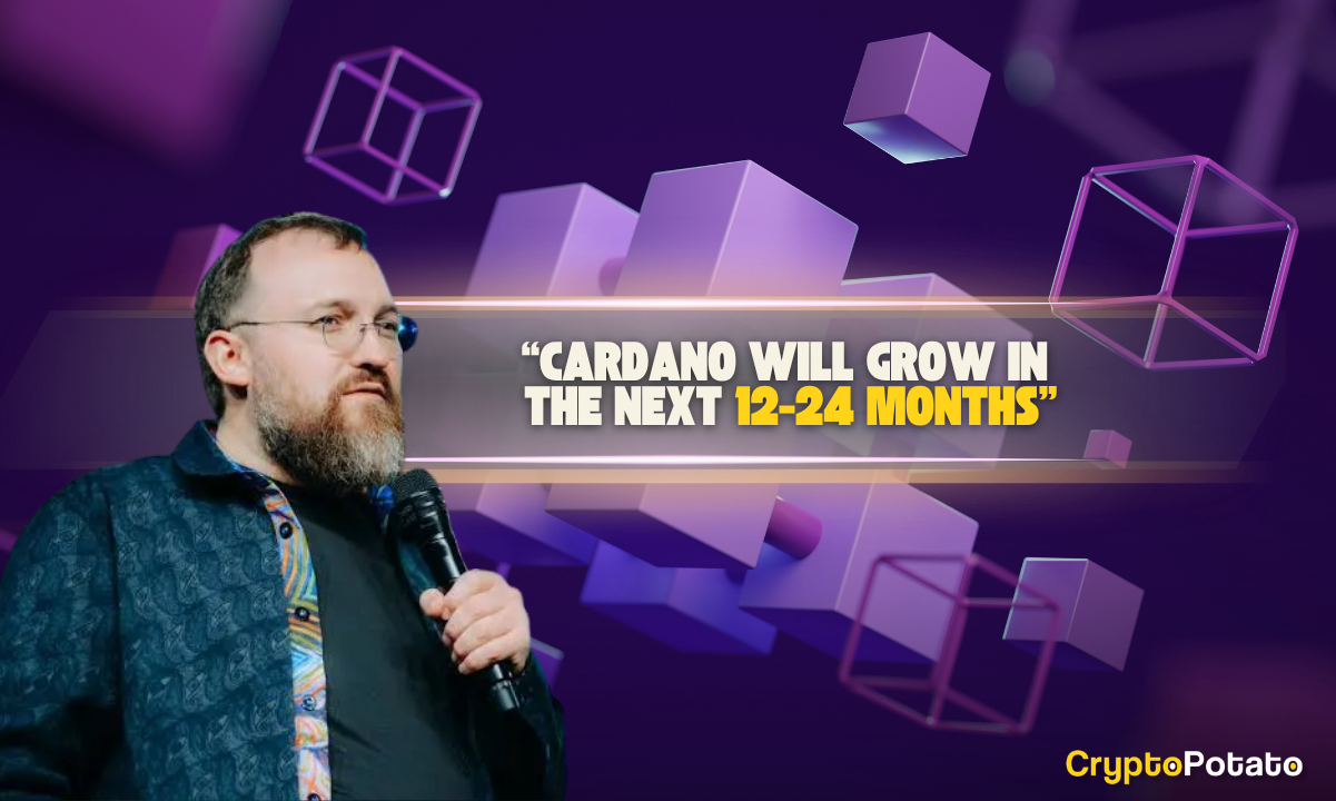Hoskinson: Cardano’s Slow Pace Proves Effective