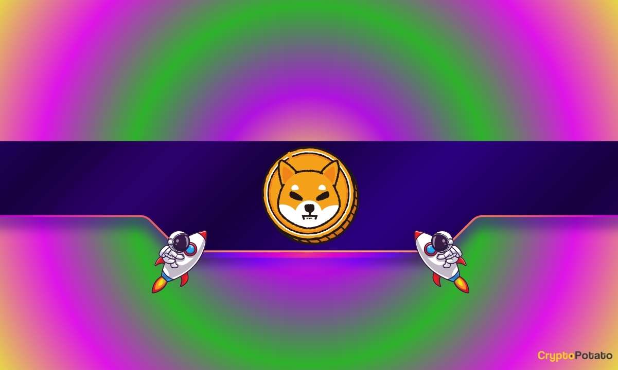 Shiba Inu Price Surges 35% Amidst Whale Accumulation and Token Burns, Uncertainty Lingers