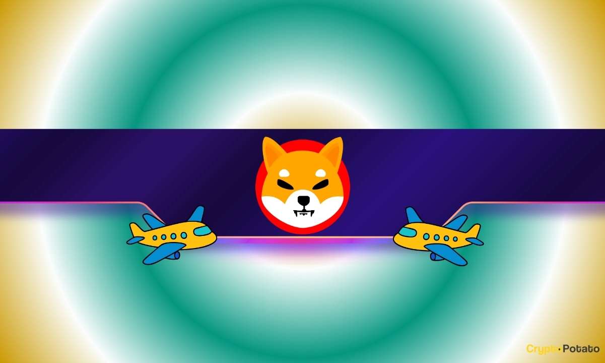 Shiba Inu Team Issues New SHIB Army Challenge: Who Leads the Charge?