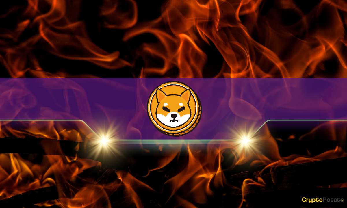 Shiba Inu Token Burns Increase Significantly in July, Limited Impact on Supply Noted