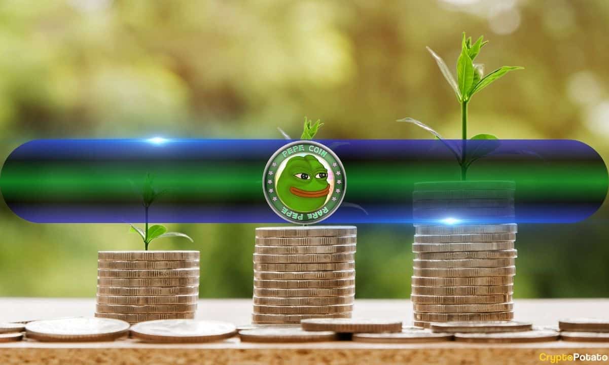 PEPE Token Outflow: Ambiguous Signal Amidst Meme Coin Volatility