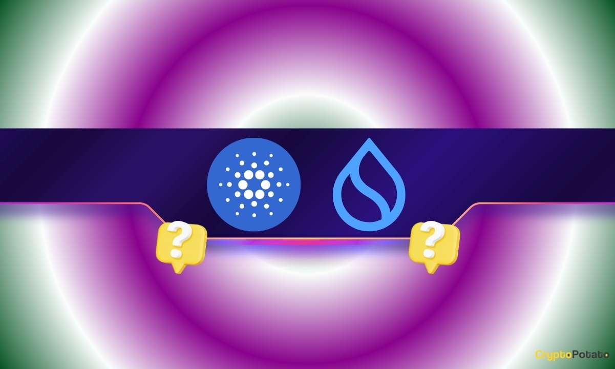 Cardano, Sui Flash Buy Signals: Next Targets Revealed