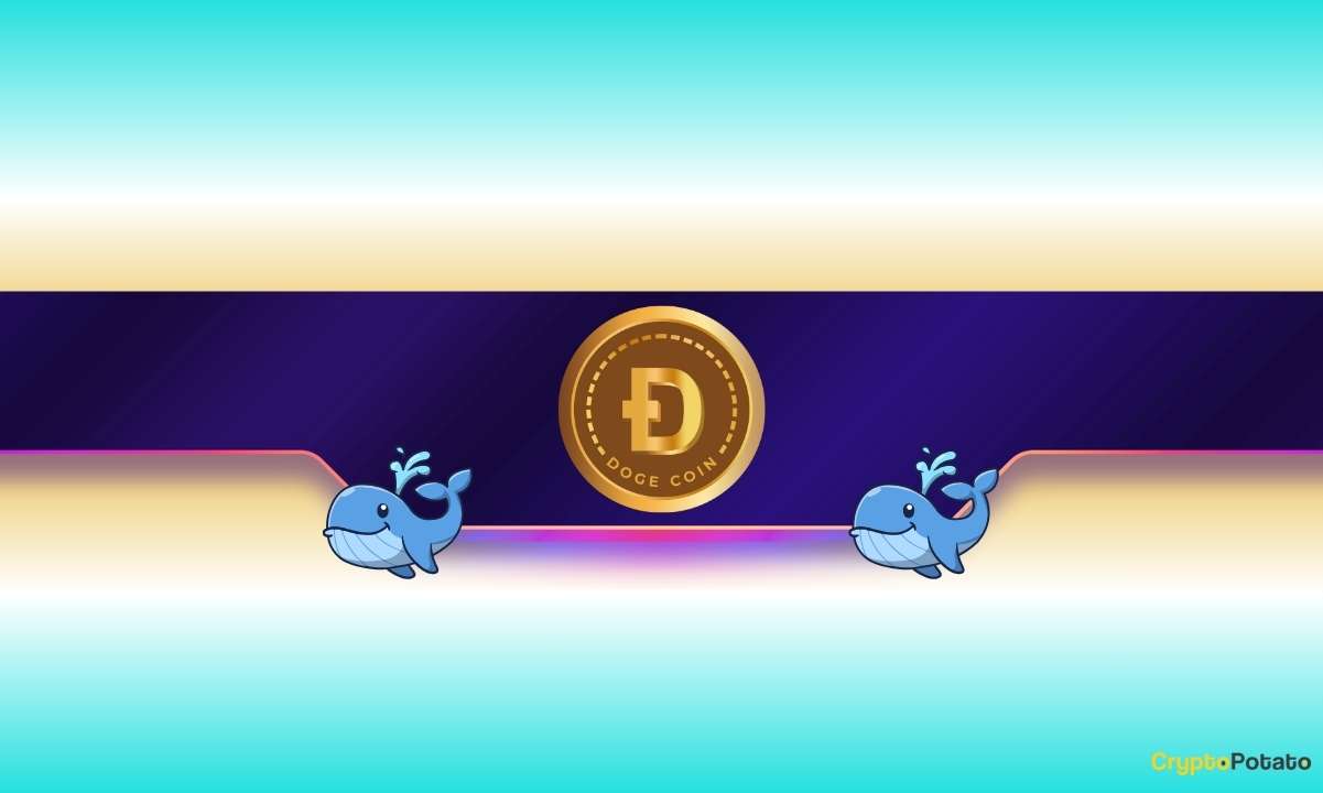 ۳ دلیل برای جهش دوج‌کوین (DOGE)