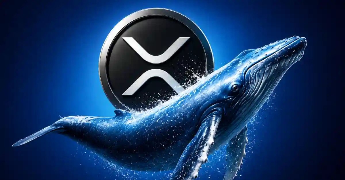 Evernorth CEO: Wall Street’s Decade-Long XRP Reversal Underway