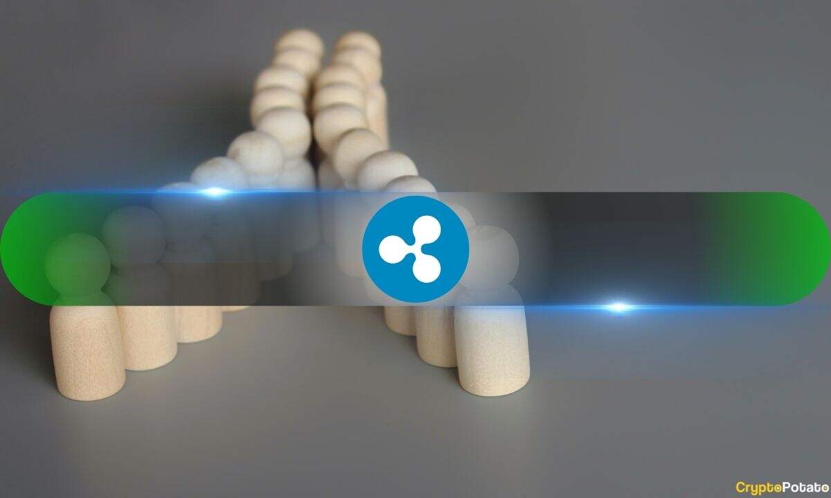 XRP’s 70% Surge Preceded by 85 Millionaire Wallet Activity
