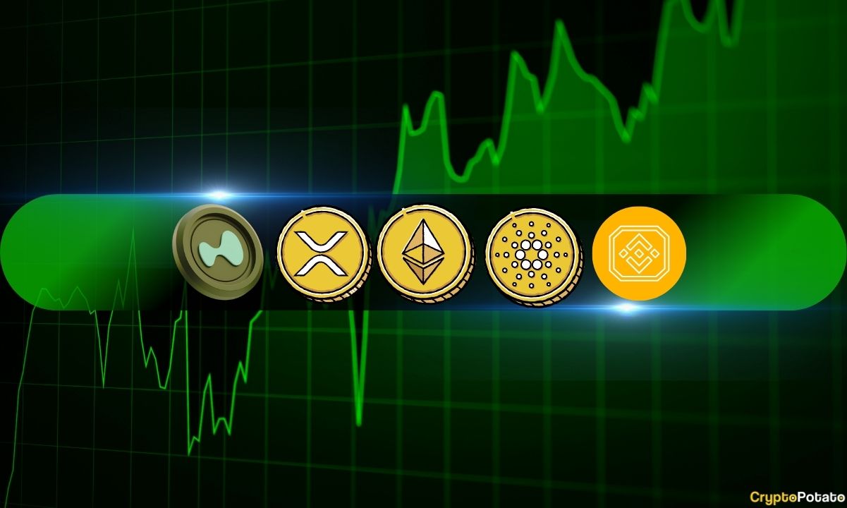 Crypto Market Pulse: ETH, XRP, ADA, BNB, HYPE Analysis