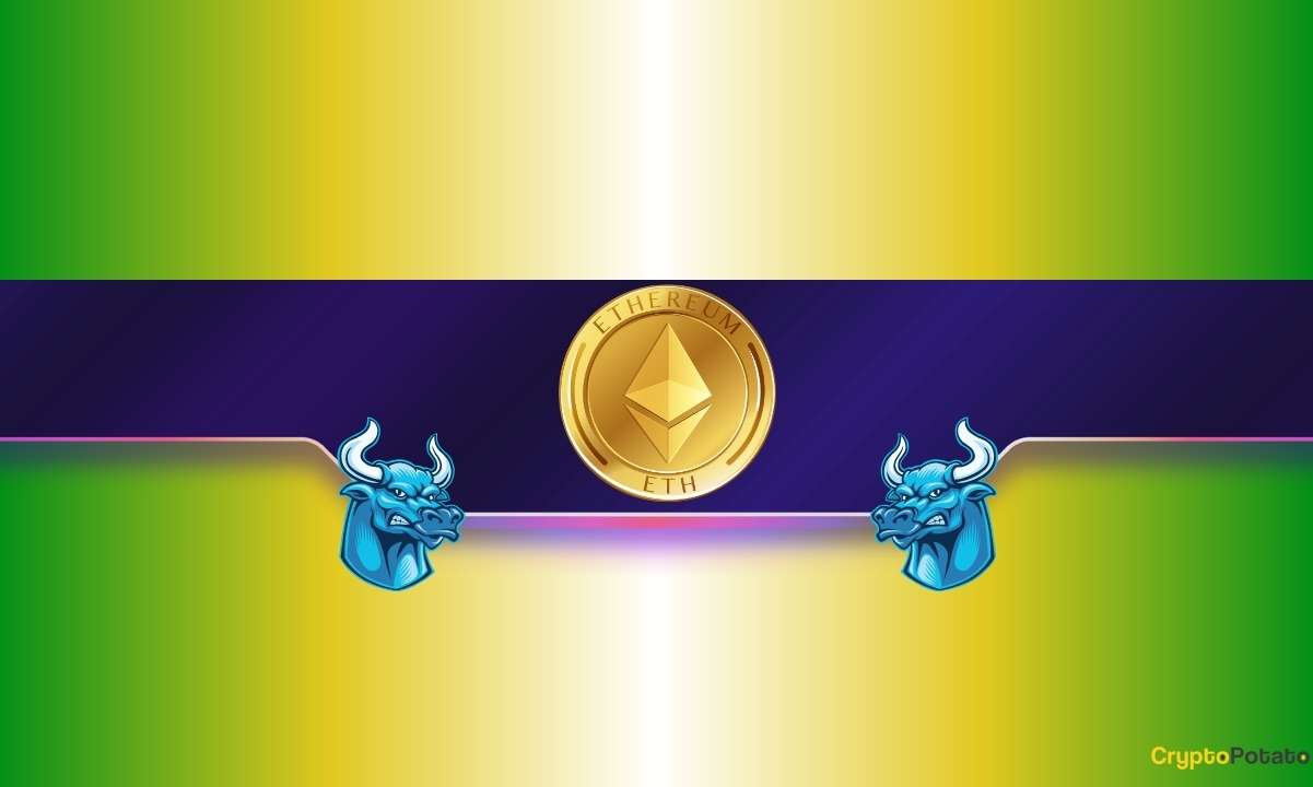 Ethereum Surges as Whales Accumulate, Wallet Count Peaks