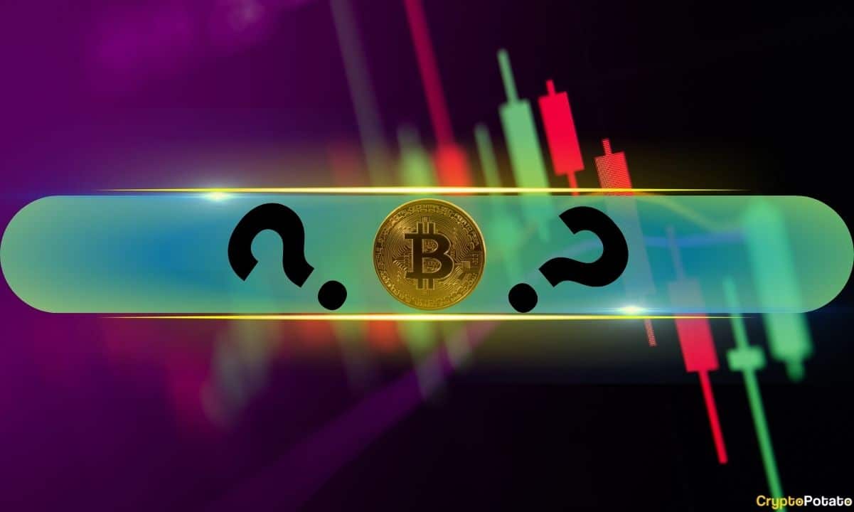 رشد انفجاری آلت‌کوین‌ها در پی توقف بیت‌کوین در ۸۴ هزار دلار