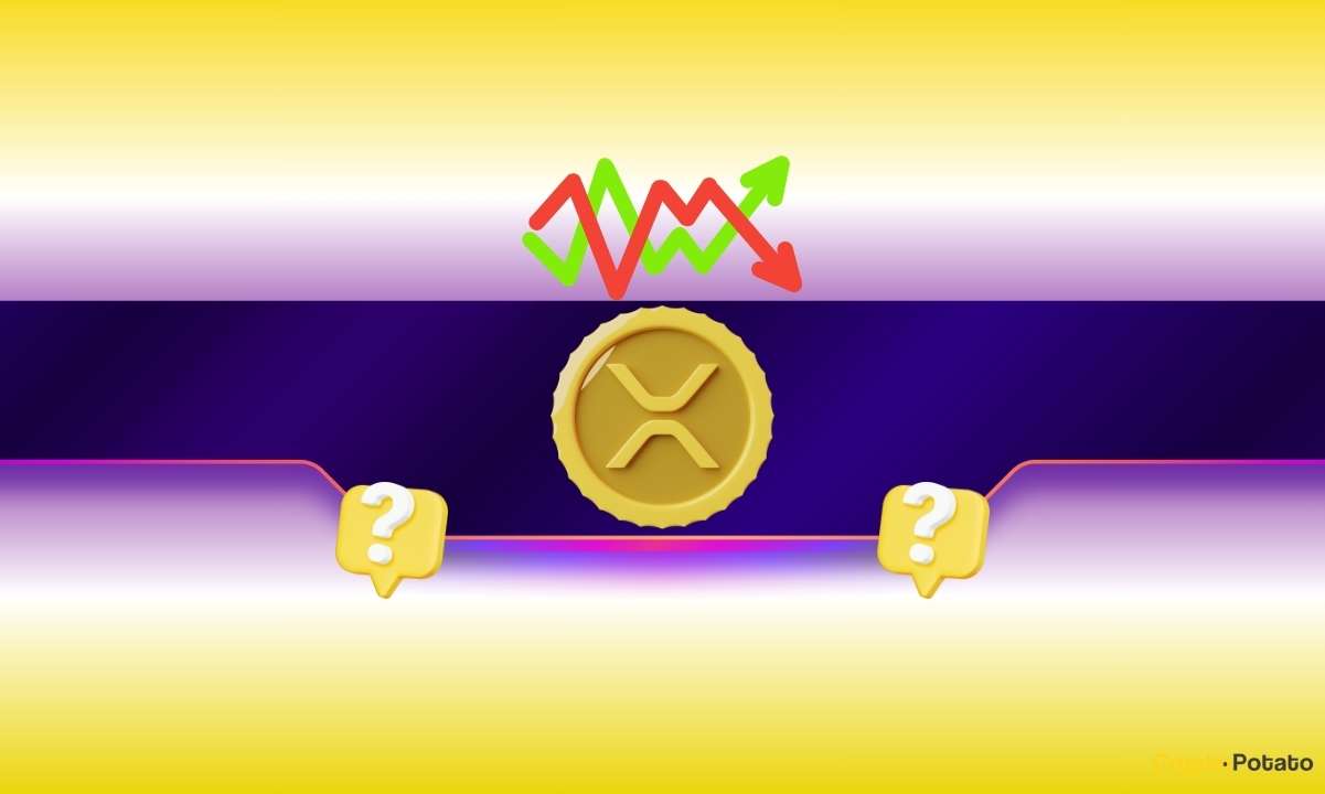 ریپل در برابر طلا: آیا موج به نفع XRP می‌چرخد؟