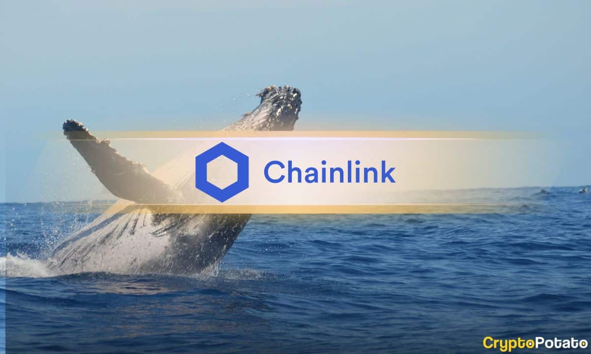رالی چینلینک؛ سودجویان وارد میشوند، CCIP 2.0 در پی سرمایه نهادی