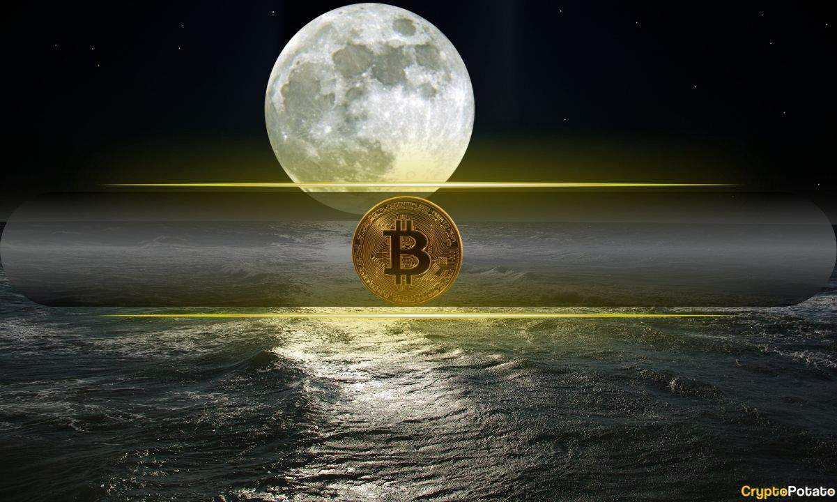 Bitcoin Eyes $215K as BTC Recovers Key Market Levels