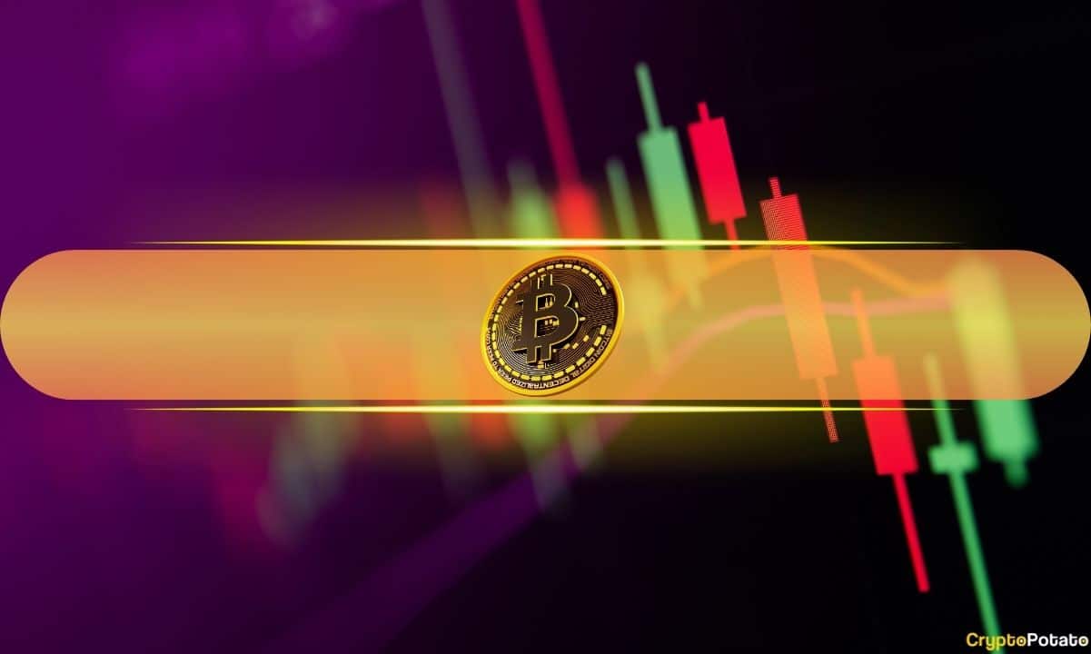 QNT, NIGHT Outperform Amidst BTC Volatility