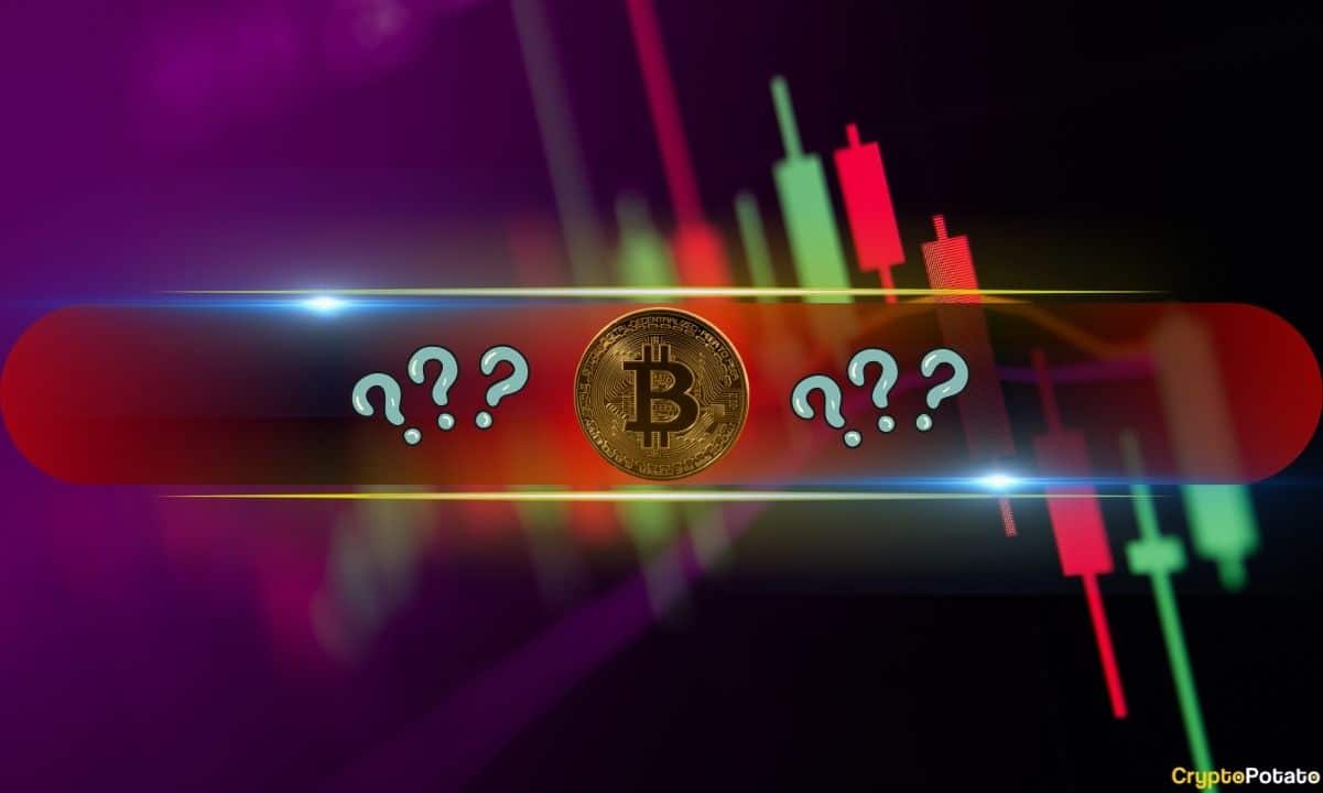 سقوط بیت‌کوین زیر ۸۴ هزار دلار؛ کدام آلت‌کوین‌ها بیشترین ضرر را دیدند؟