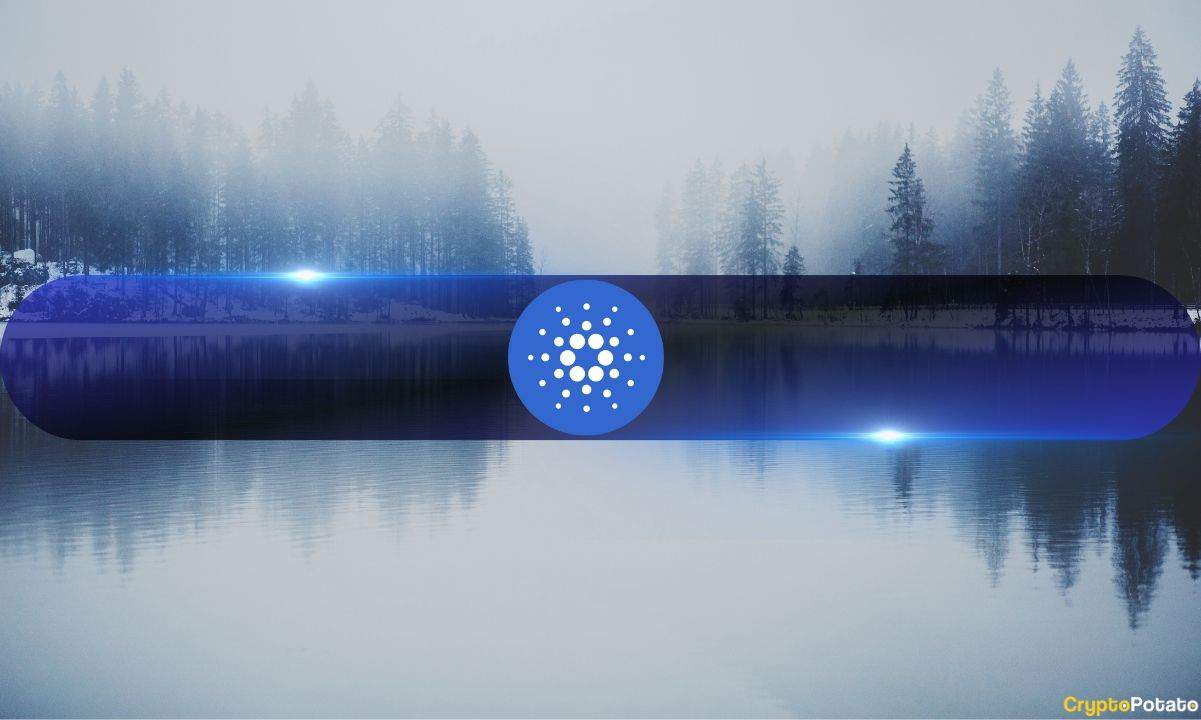 Cardano Signals Bullish Momentum at TOKEN2049 Amid ADA Rebound