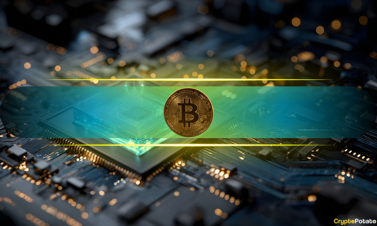 بیت‌کوین ۵۰ درصد می‌پرد؛ شرط مدیرعامل کپریول: توافق توسعه‌دهندگان بر سر نقشه کوانتومی