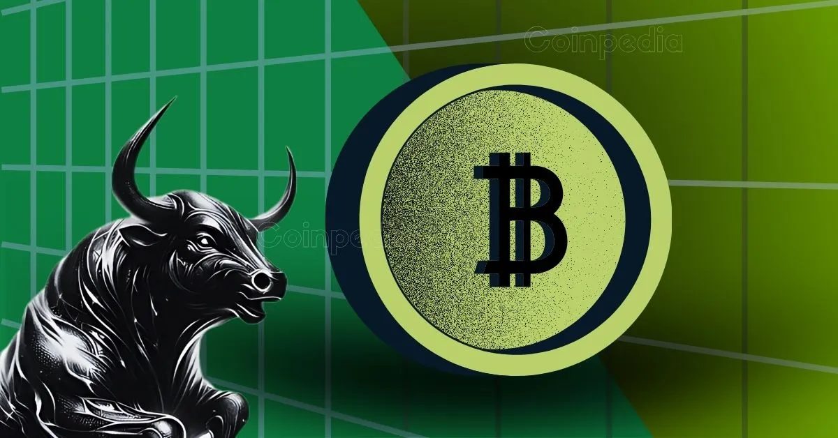 سقوط وال استریت در ۱۹ اکتبر: بیت‌کوین هم ریزش می‌کند؟