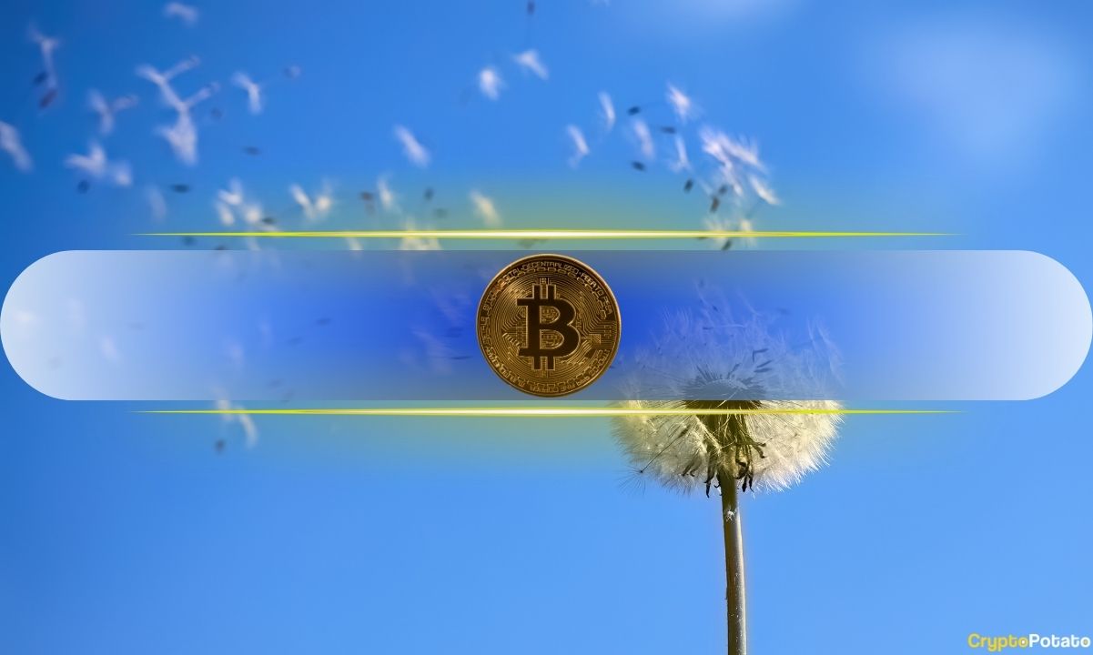 تحلیلگر: وحشت بازار بیمورد است؛ بیتکوین در مسیر صعودی
