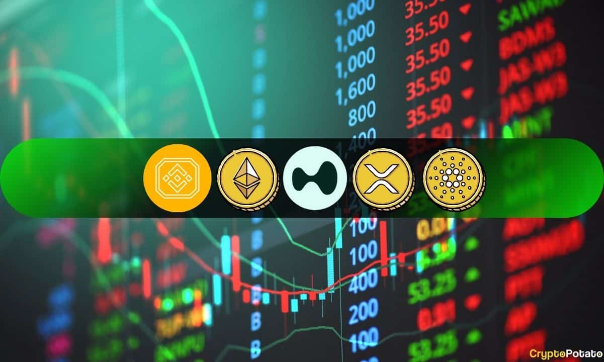 تحلیل قیمت ارزهای دیجیتال ۳۰ اکتبر: اتریوم، ریپل، آدا، بایننس کوین و هایپ